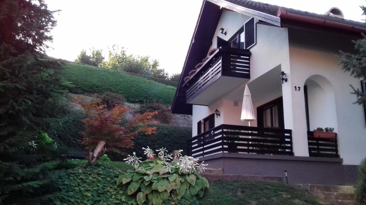 Agnes Nyaralohaz Villa Zalakaros Bagian luar foto